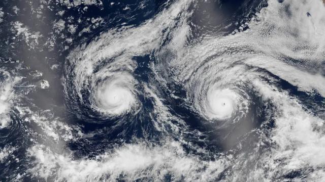 Can you put these twin hurricanes back together?