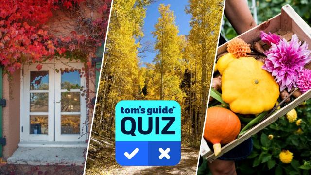Fall colors plant picture quiz