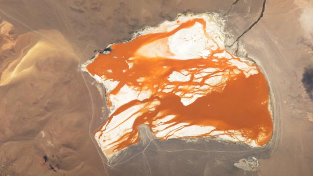 Can you put this 'bleeding' lagoon back together?