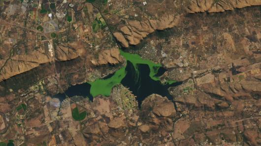 Can you put reassemble this 'vivid green' reservoir bloom?