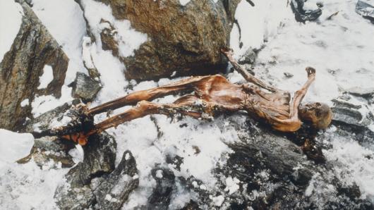 &Ouml;tzi quiz: What do you know about the Iceman mummy who was murdered 5,300 years ago in the Alps?