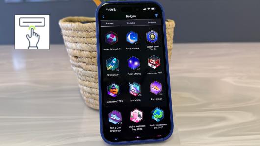 Garmin Connect badges picture quiz